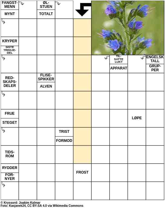 Dagens kryssord – 19. Mai - 2023