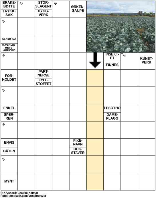 Dagens kryssord – 20. Mai - 2023