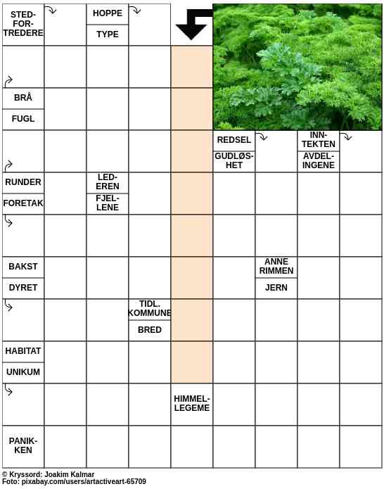 Dagens kryssord – 27. Mai - 2023