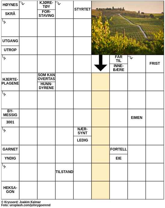 Dagens kryssord – 2. Juli - 2023