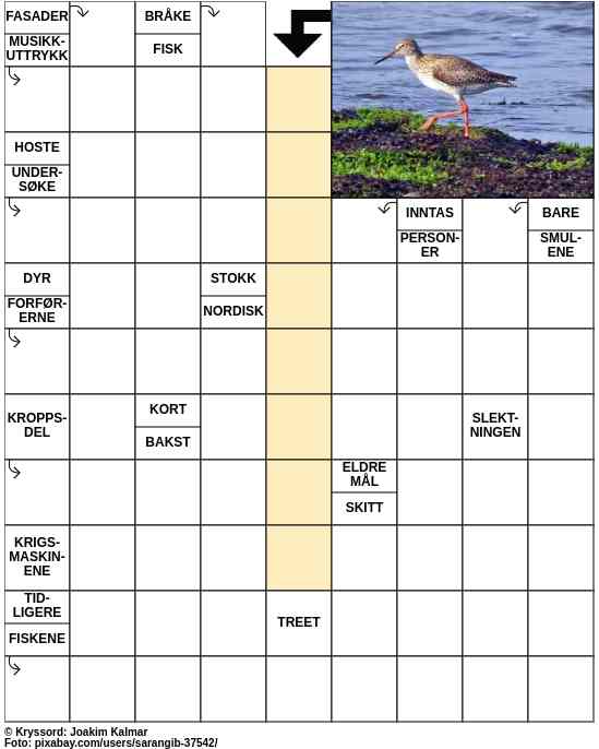 Dagens kryssord – 10. Juni - 2023