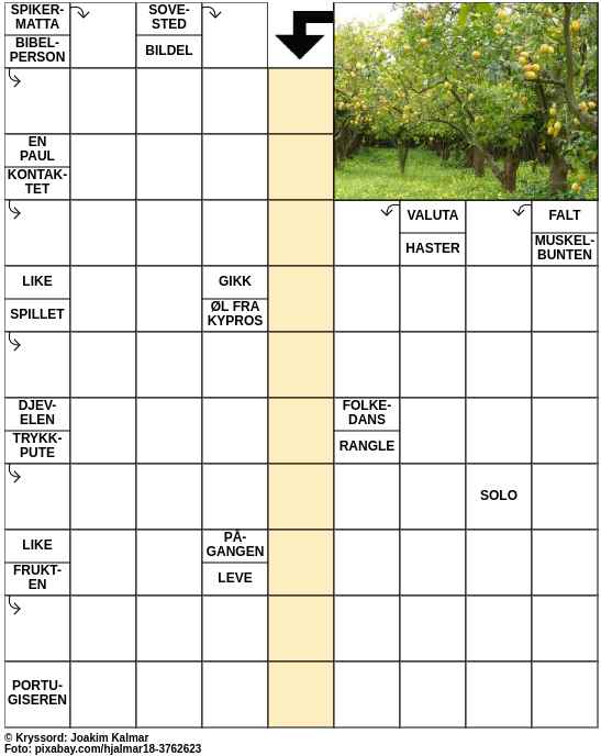Dagens kryssord – 12. Juni - 2023