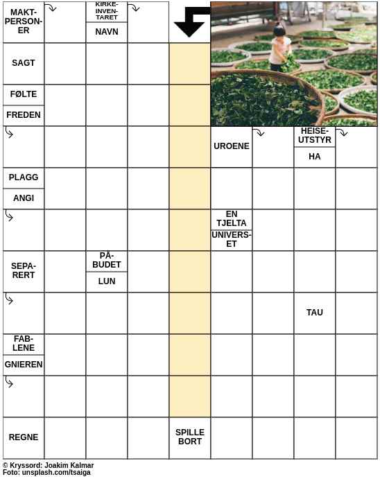Dagens kryssord – 17. Juni - 2023