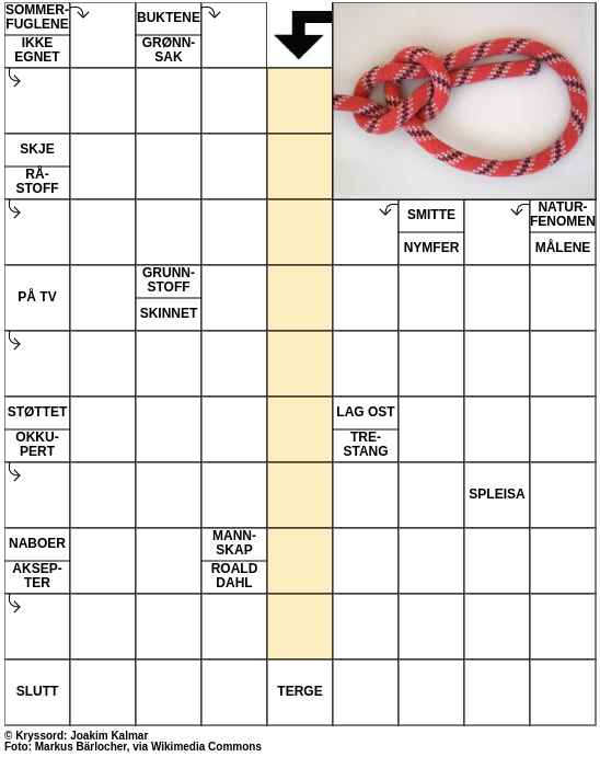Dagens kryssord – 19. Juni - 2023