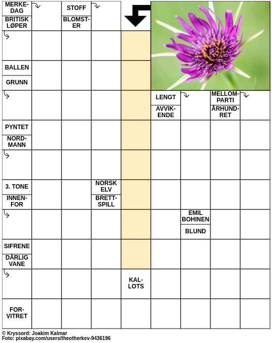 Dagens kryssord – 25. Juni - 2023