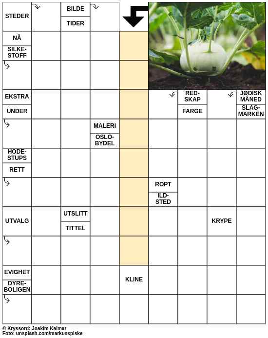 Dagens kryssord – 12. Juli - 2023