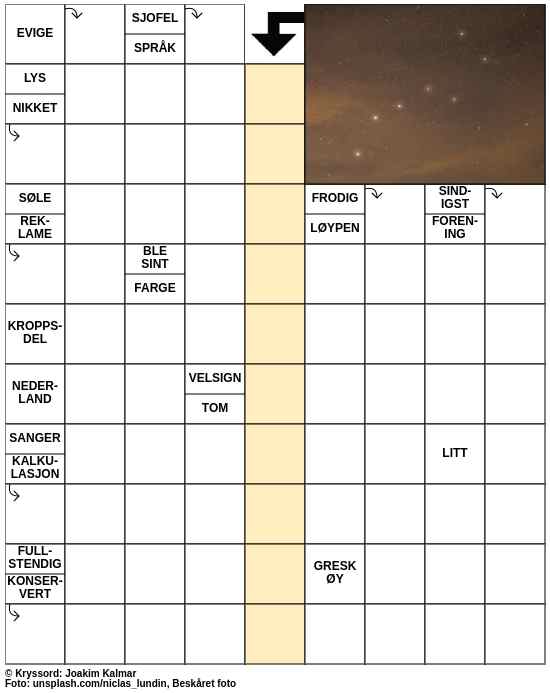 Dagens kryssord – 1. August - 2023