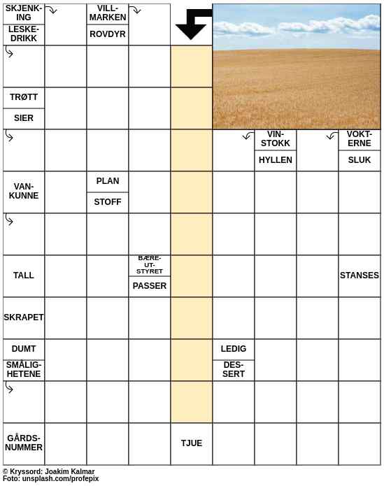 Dagens kryssord – 27. Juli - 2023