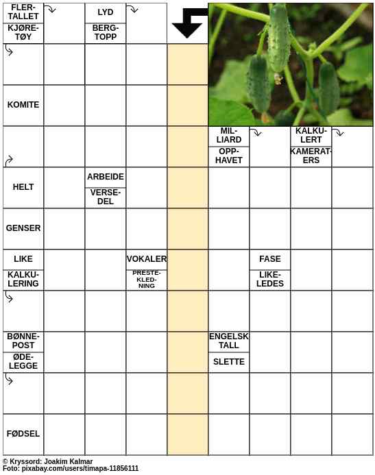 Dagens kryssord – 28. Juli - 2023