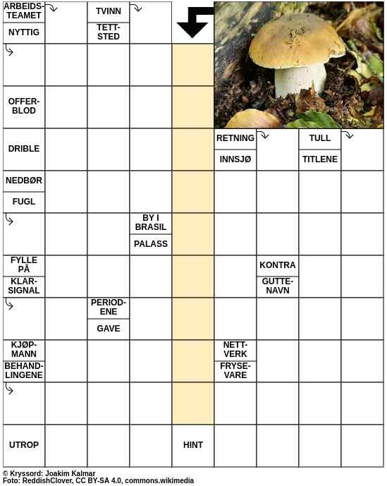 Dagens kryssord – 9. August - 2023