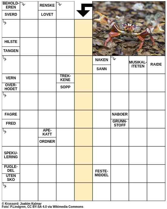 Dagens kryssord – 12. August - 2023