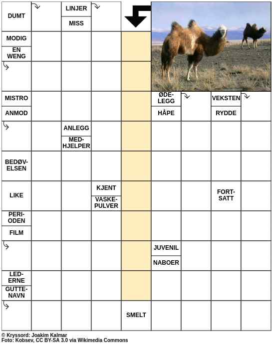 Dagens kryssord – 14. August - 2023