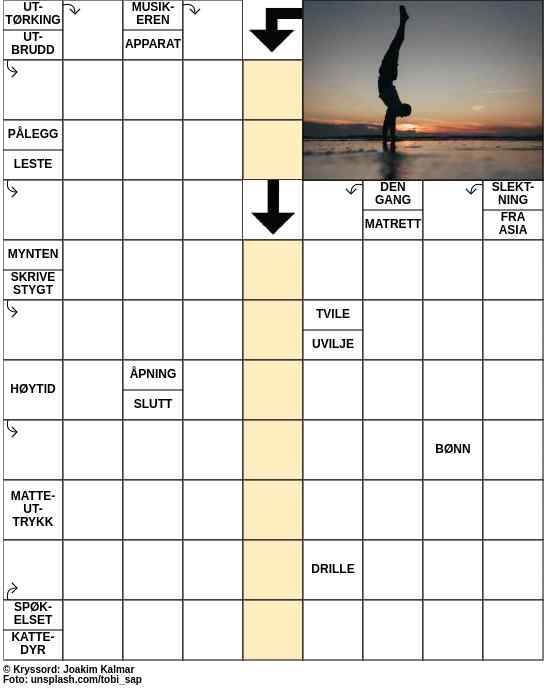 Dagens kryssord – 16. August - 2023