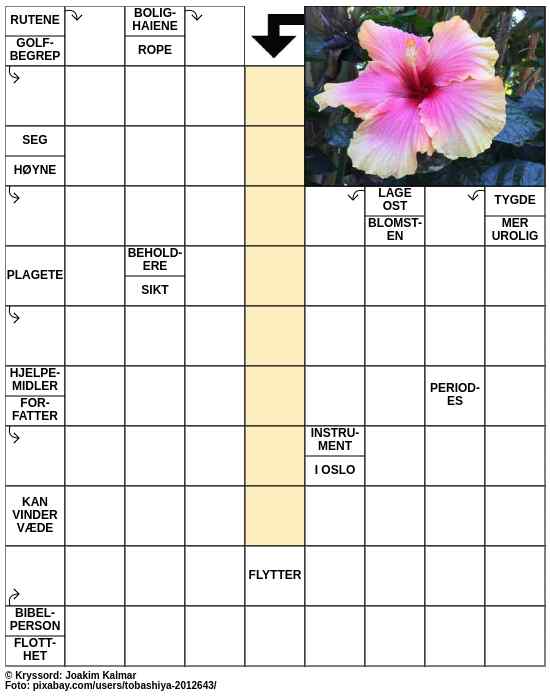 Dagens kryssord – 21. August - 2023