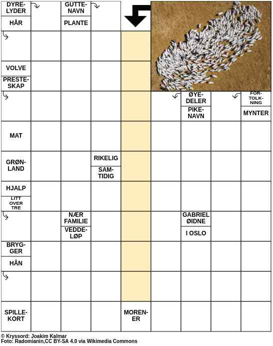 Dagens kryssord – 30. August - 2023