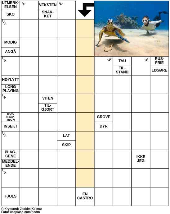 Dagens kryssord – 8. September - 2023