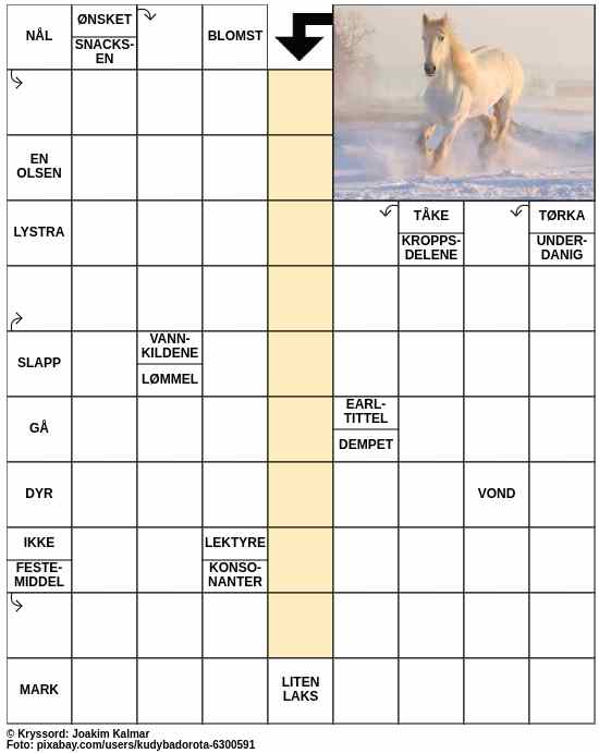 Dagens kryssord – 1. November - 2023