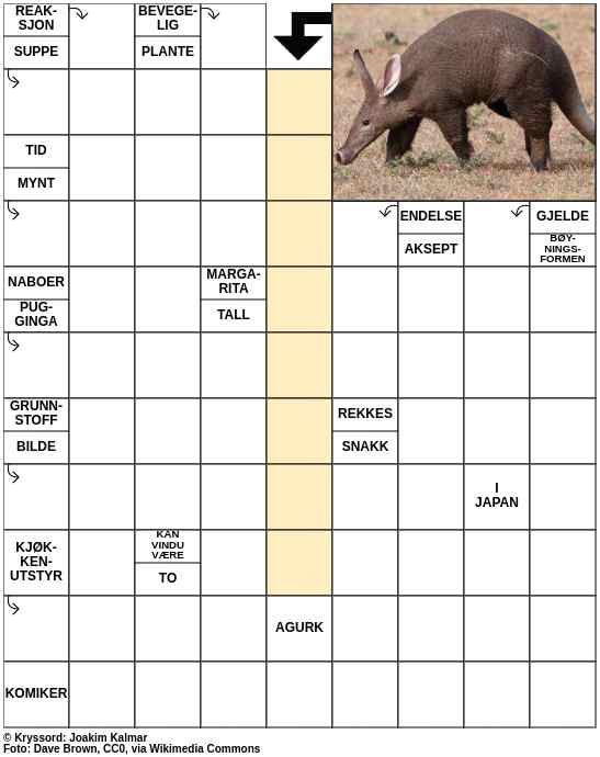 Dagens kryssord – 11. Oktober - 2023
