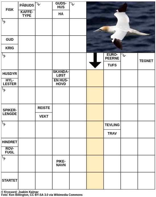 Dagens kryssord – 13. Oktober - 2023