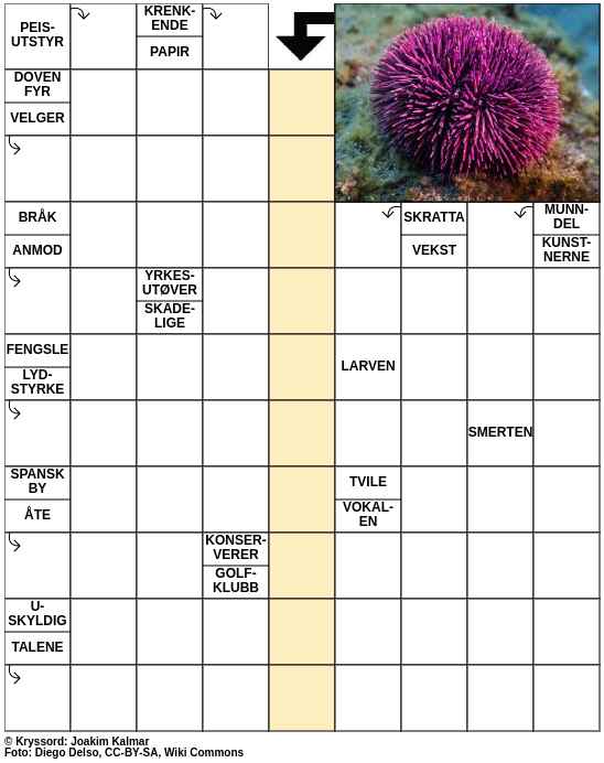 Dagens kryssord – 8. November - 2023