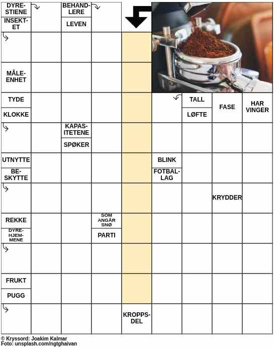 Dagens kryssord – 9. November - 2023