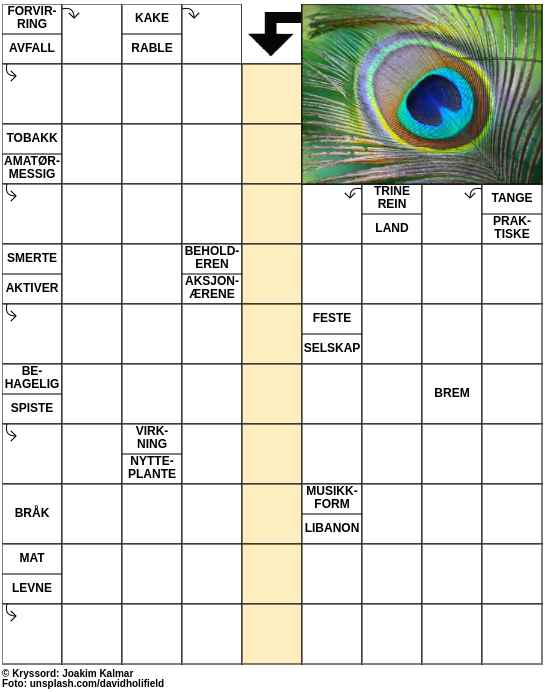Dagens kryssord – 10. November - 2023