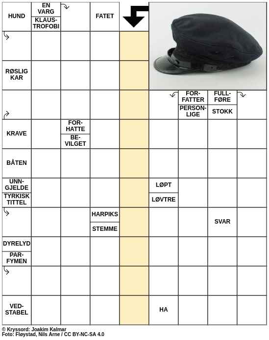 Dagens kryssord – 11. November - 2023