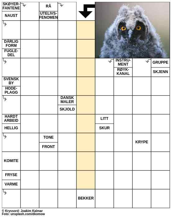 Dagens kryssord – 20. November - 2023