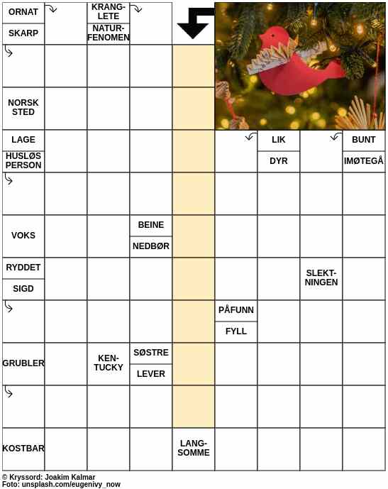 Dagens kryssord – 25. November - 2023