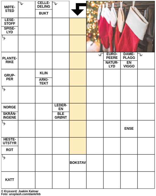 Dagens kryssord – 25. Desember - 2023