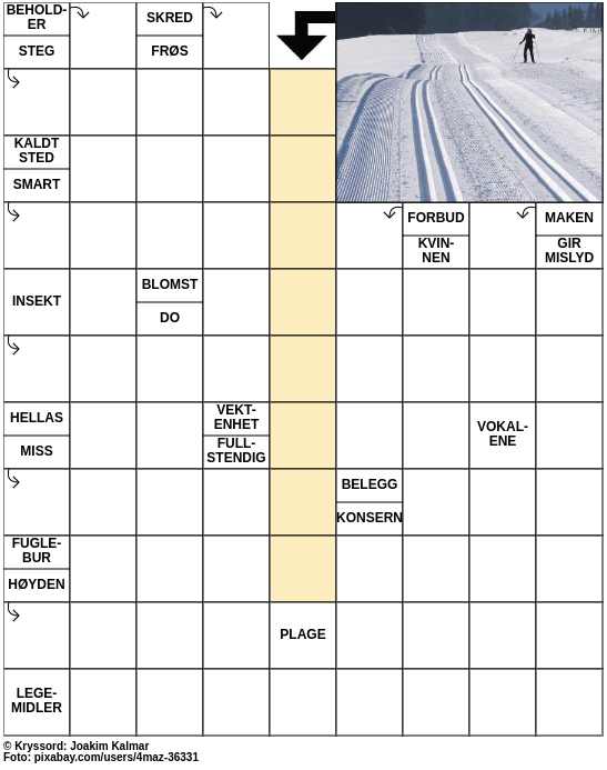 Dagens kryssord – 26. Desember - 2023