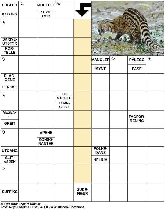 Dagens kryssord – 3. Januar - 2024