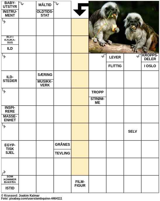Dagens kryssord – 12. Januar - 2024