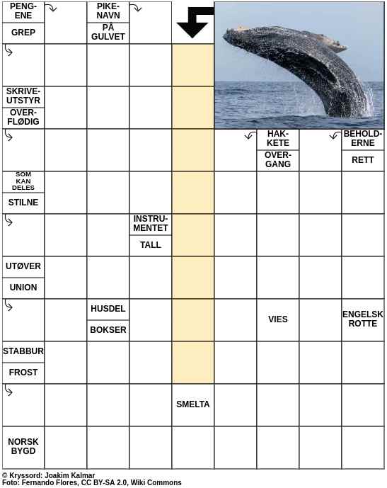 Dagens kryssord – 13. Januar - 2024