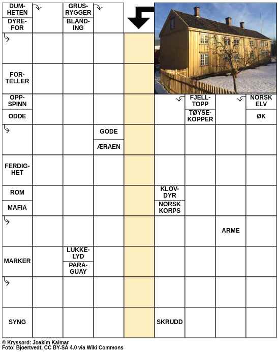 Dagens kryssord – 14. Januar - 2024