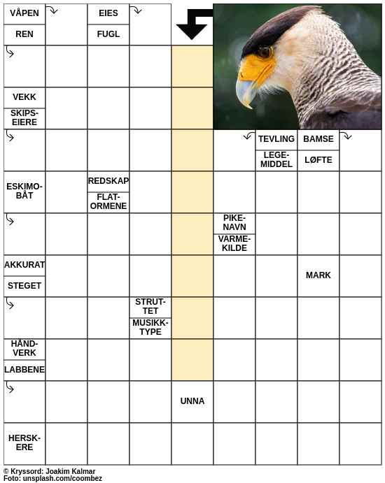 Dagens kryssord – 15. Januar - 2024