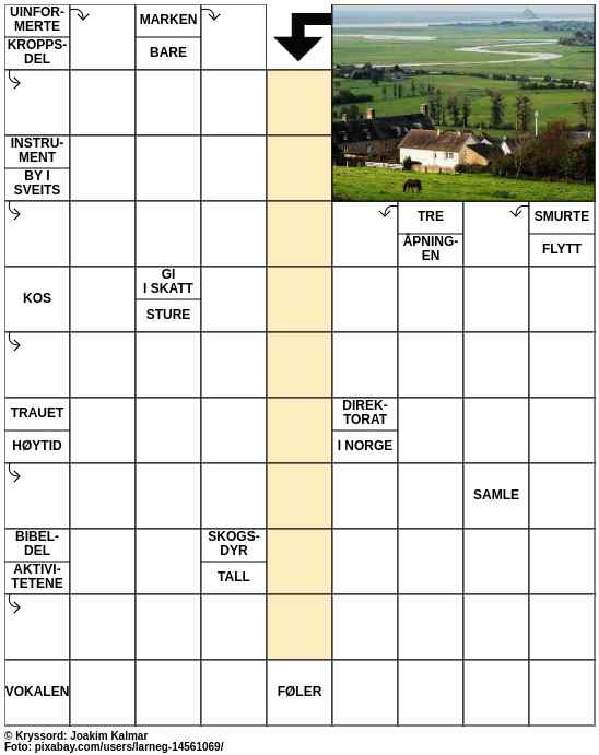 Dagens kryssord – 7. Februar - 2024