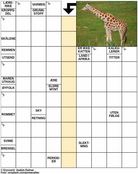 Dagens kryssord – 12. Februar - 2024