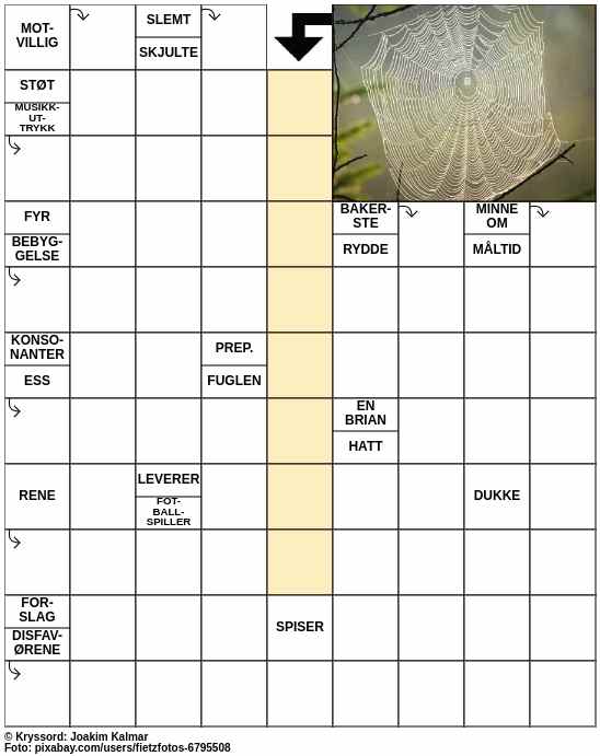 Dagens kryssord – 13. Februar - 2024