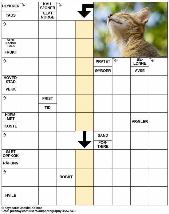 Dagens kryssord – 17. Februar - 2024