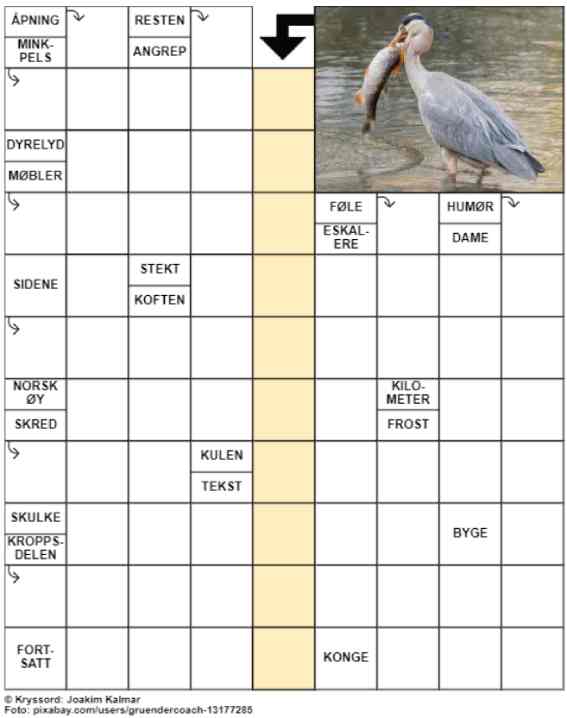 Dagens kryssord – 2. Februar - 2024