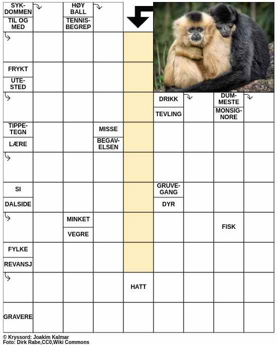 Dagens kryssord – 28. Februar - 2024