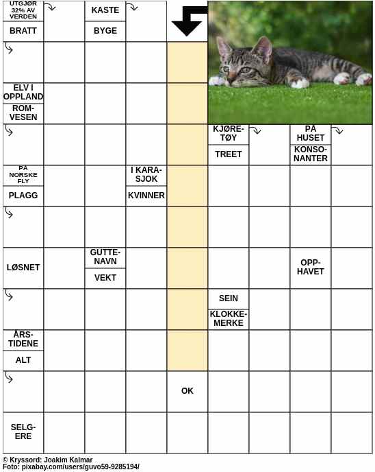 Dagens kryssord – 29. Februar - 2024