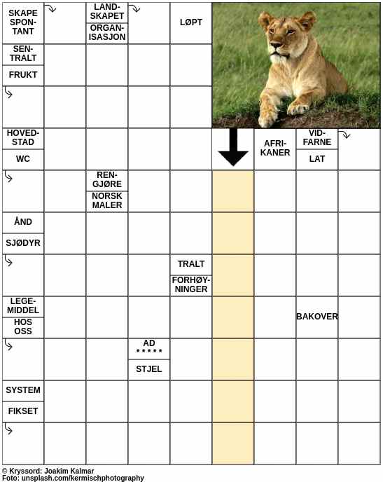 Dagens kryssord – 5. Mars - 2024