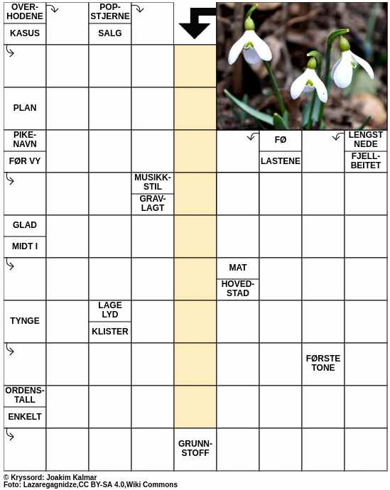Dagens kryssord – 6. Mars - 2024