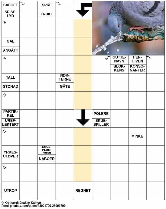 Dagens kryssord – 8. Mars - 2024