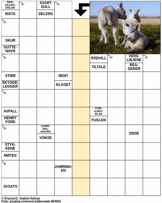Dagens kryssord – 11. Mars - 2024
