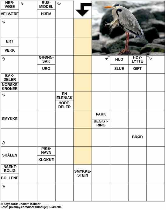 Dagens kryssord – 12. Mars - 2024