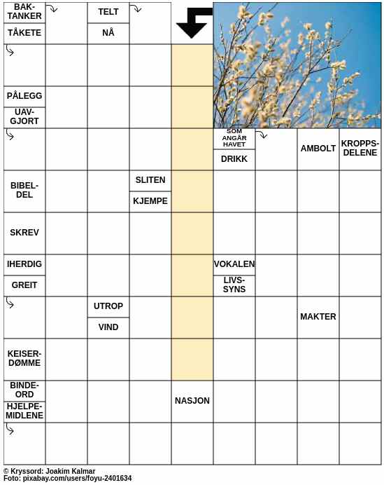 Dagens kryssord – 15. Mars - 2024