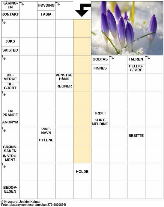 Dagens kryssord – 17. Mars - 2024
